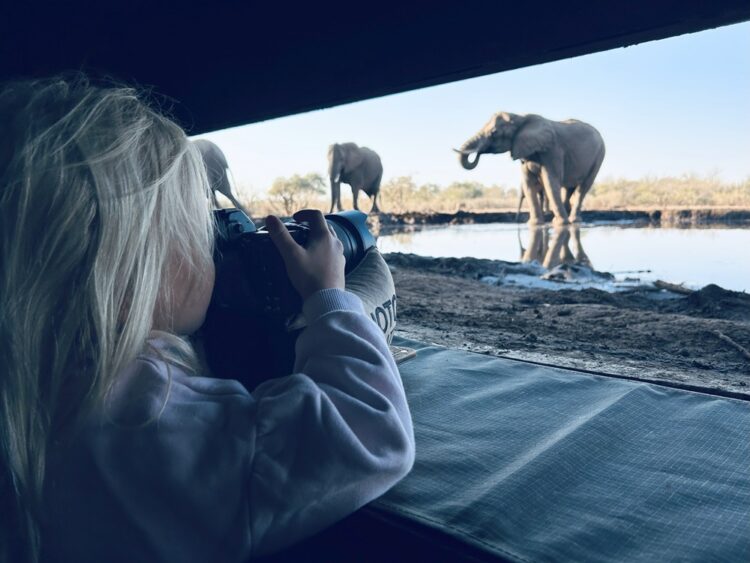 Mashatu Game Reserve in Botswana Launches Family Safari Offers - TRAVELINDEX