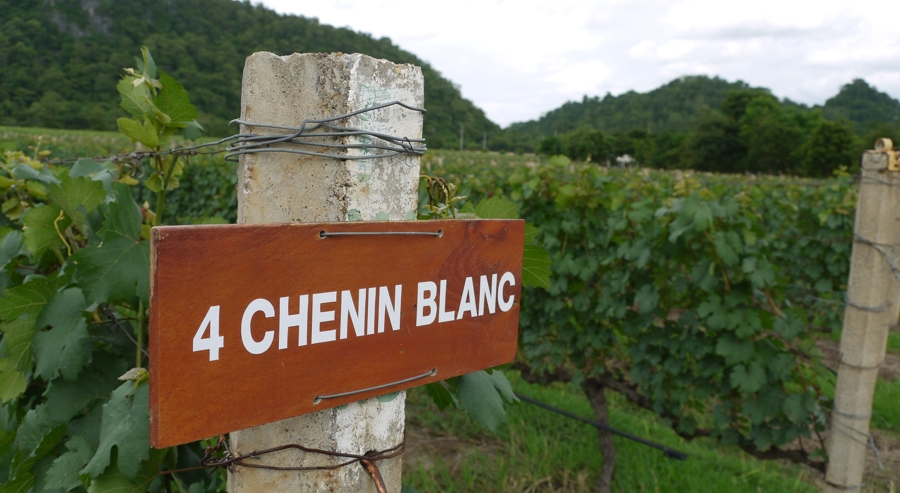 GranMonte Wins Two Golds at AWC Vienna 2025 - TRAVELINDEX